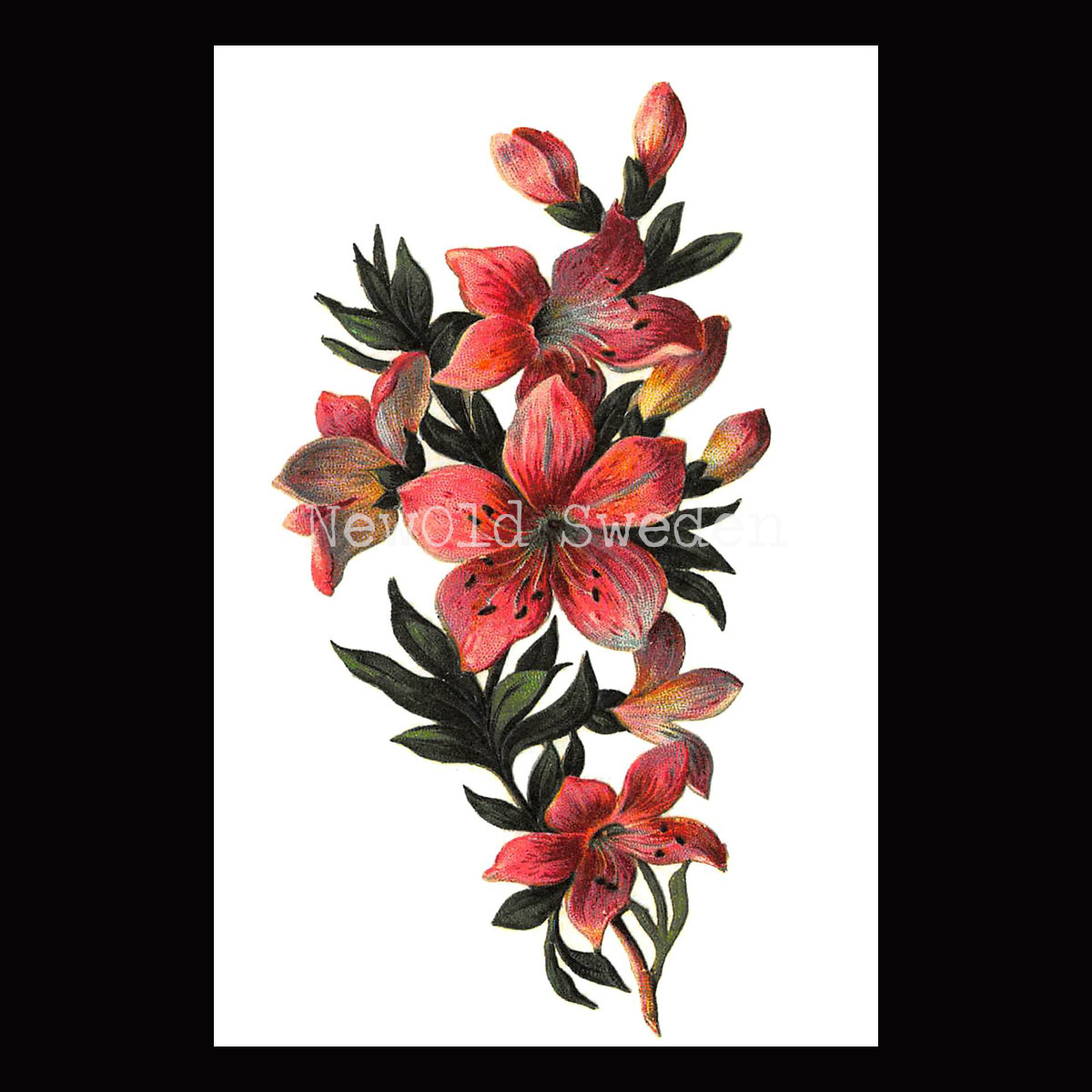 Lilja rosa Vintage Vykort Nr: 11 - 10 x 15 cm - 425