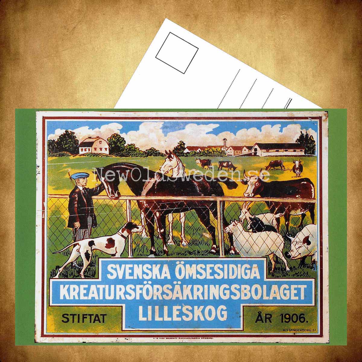 Svenska Ömsesidiga Kreatursförsäkringsbolaget Lilleskog - Vykort A5 - 3