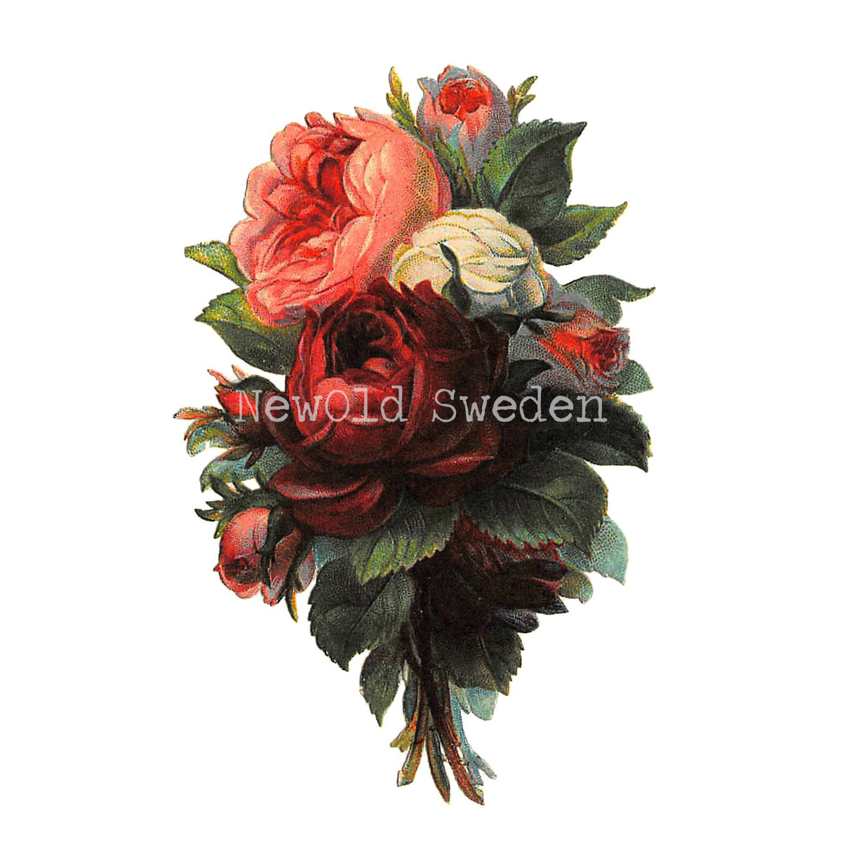 Rosor Vintage Vykort Nr: 12 - 10 x 15 cm - 425 - 2