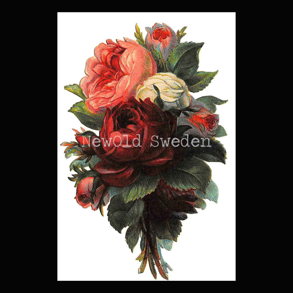 Rosor Vintage Vykort Nr: 12 - 10 x 15 cm - 425