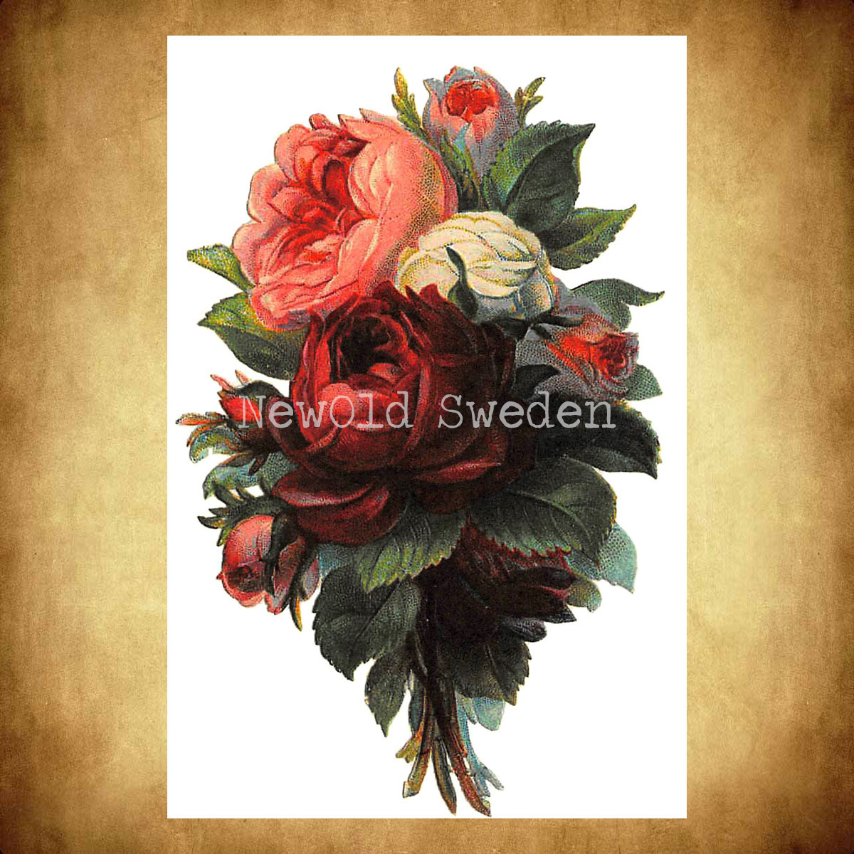 Rosor Vintage Vykort Nr: 12 - 10 x 15 cm - 425 - 3