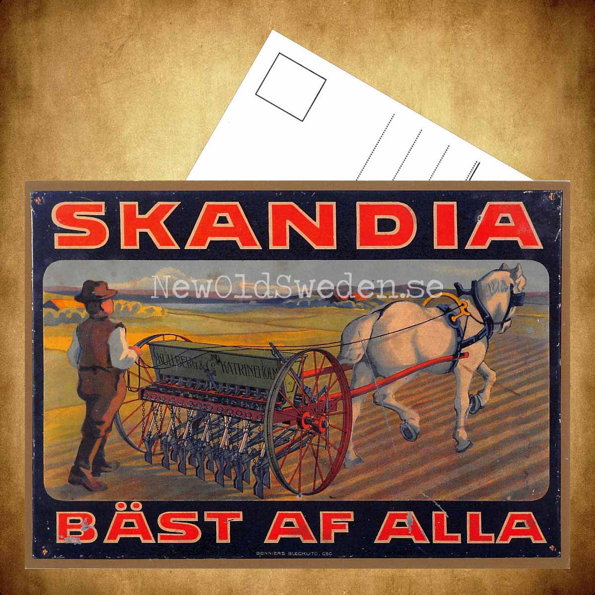 SKANDIA Kullberg & Co Katrineholm - Vykort A5 - 3