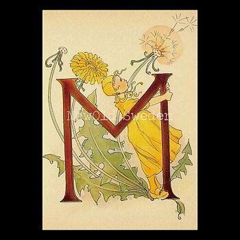 Blomsteralfabetet M - MASKROS Ottilia Adelborg - 725
