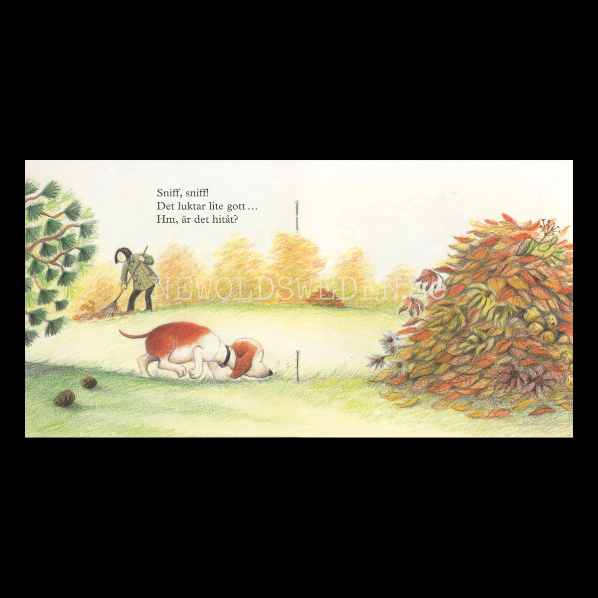 SNIFF SNIFF1819 - P99 - 2