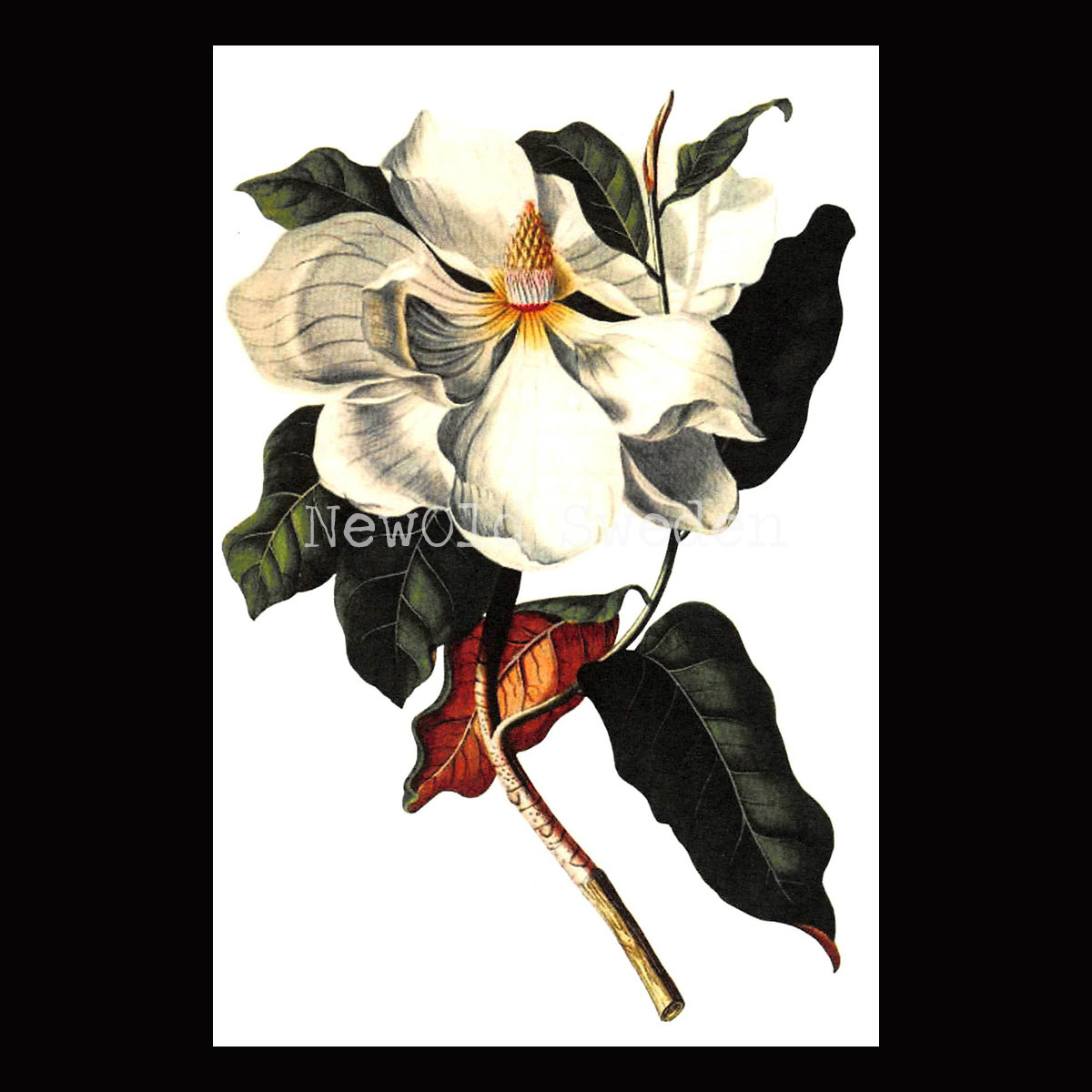 Magnolia Vintage Vykort Nr: 23 - 10 x 15 cm - 425