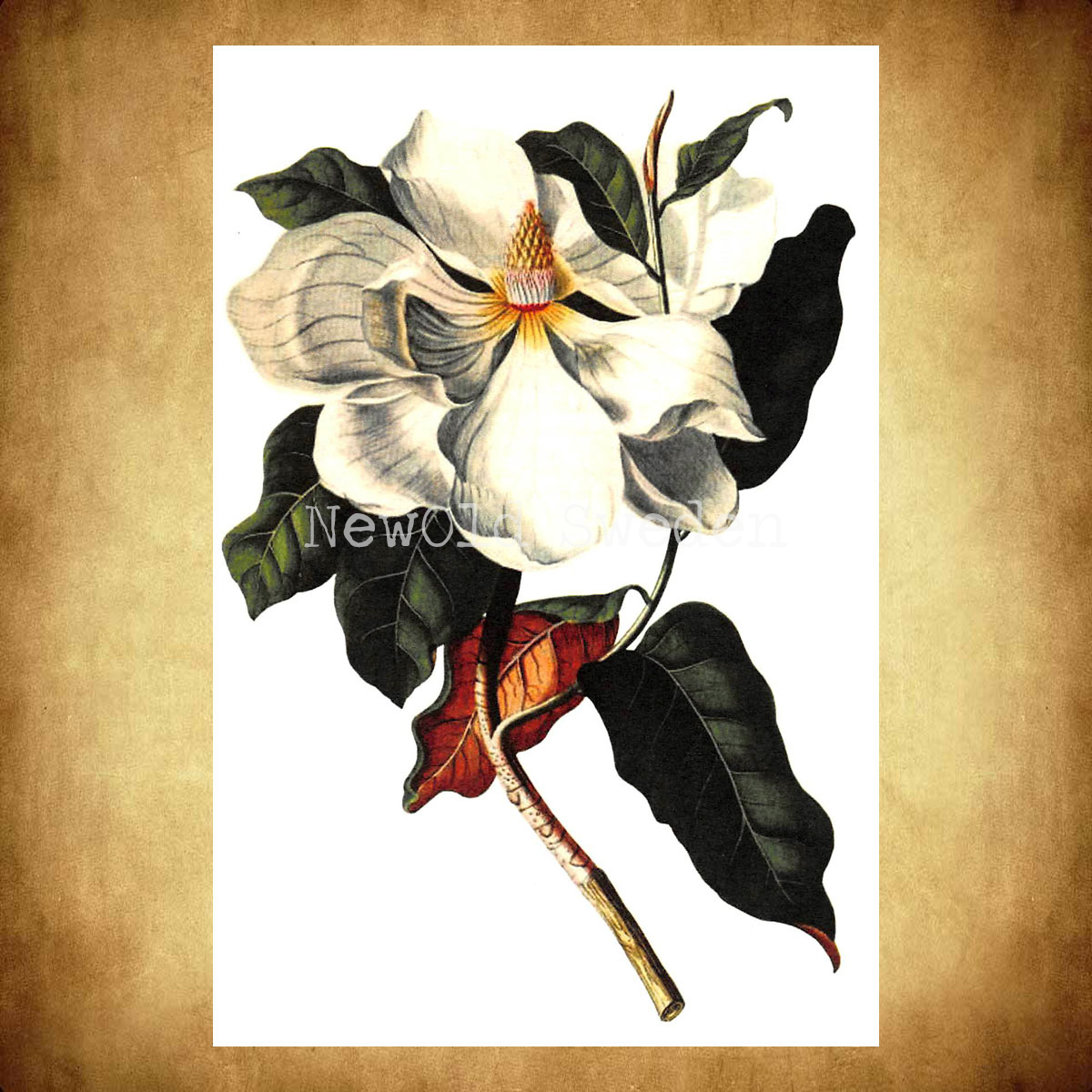 Magnolia Vintage Vykort Nr: 23 - 10 x 15 cm - 425 - 3