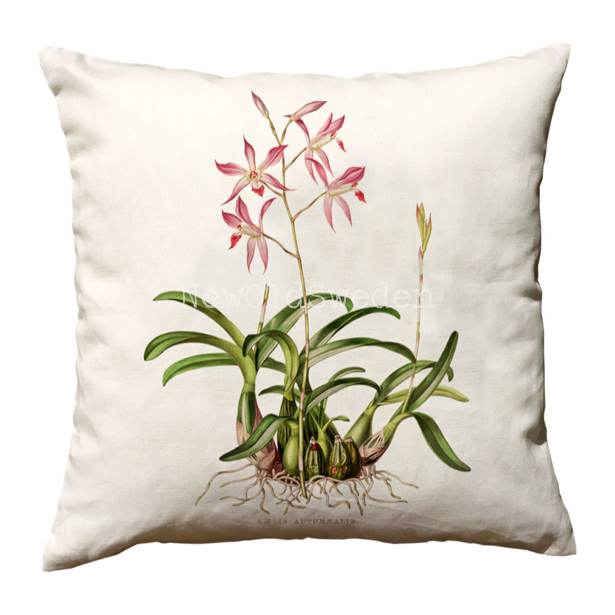 Pillow Case 50 x 50 cm NEWOLDSWEDEN.se