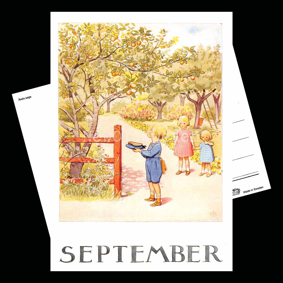 September Månadskort Elsa Beskow - Vykort - 1850 - 2