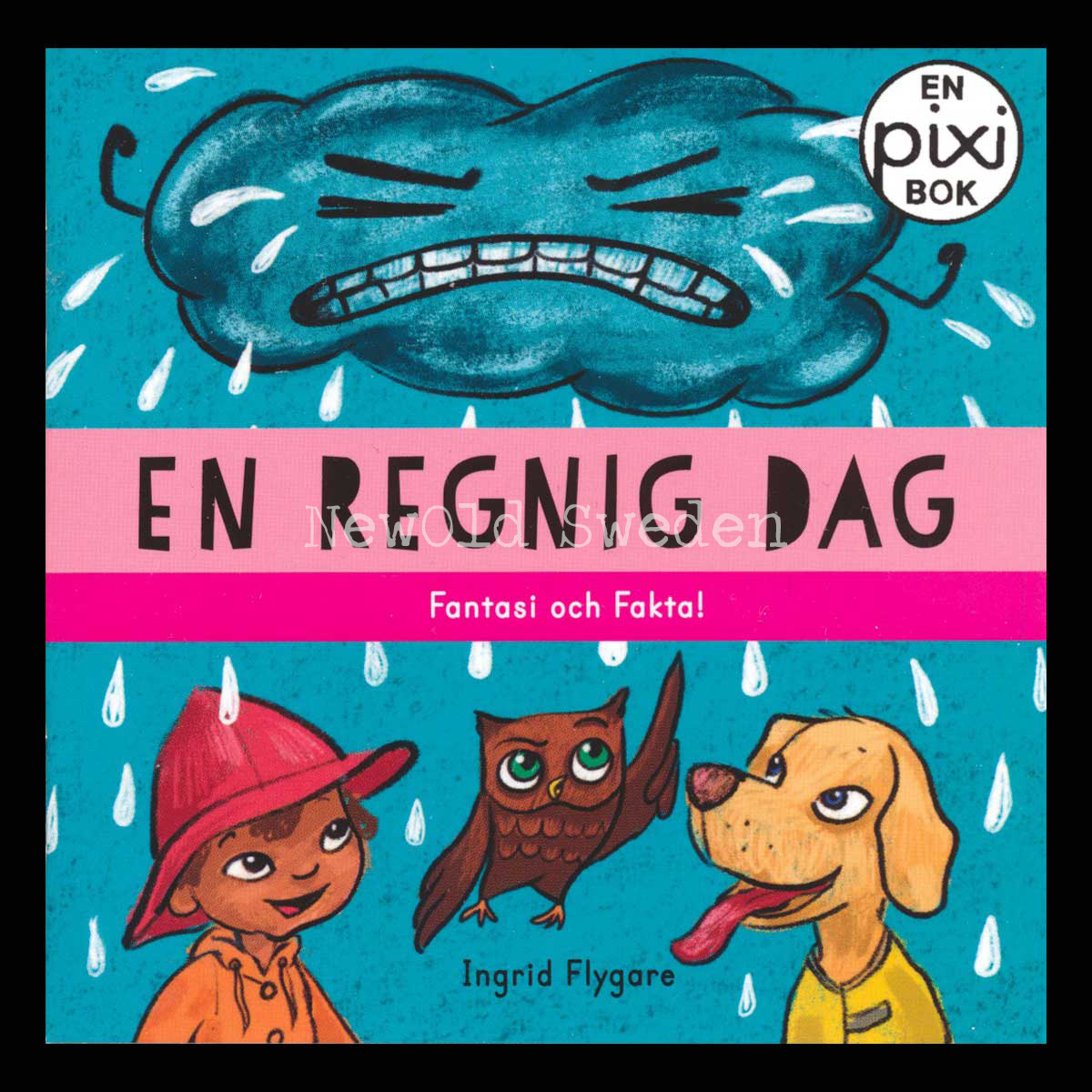 EN REGNIG DAG - P92