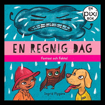 EN REGNIG DAG - P92