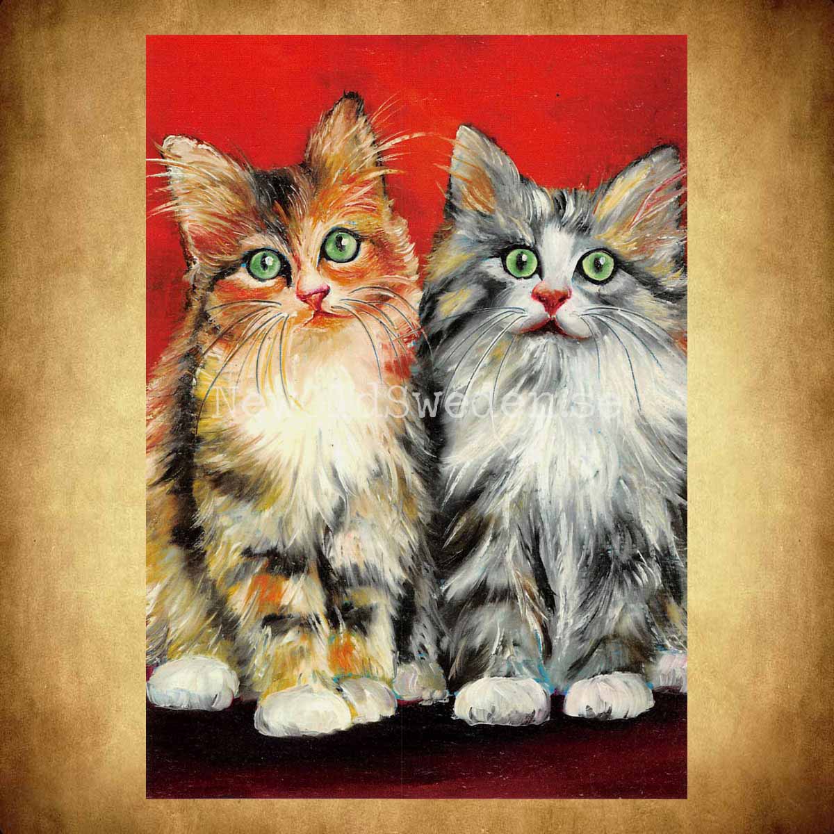 Katter - Vykort A5 - 3
