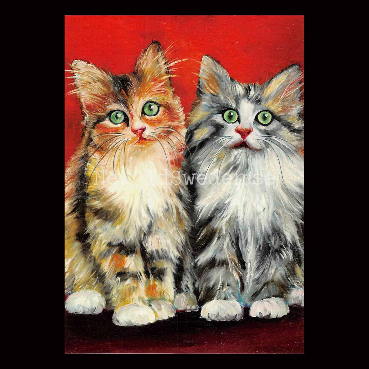 Katter - Vykort A5 - 2