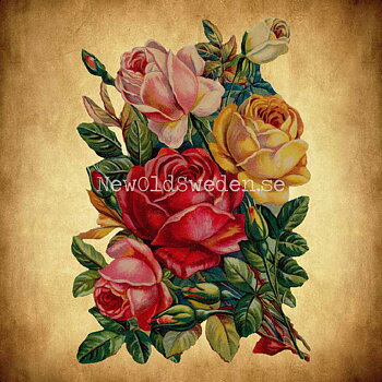 Dark Roses 10.5x16 cm - Bokmärke © Ernst Freihoff 5001