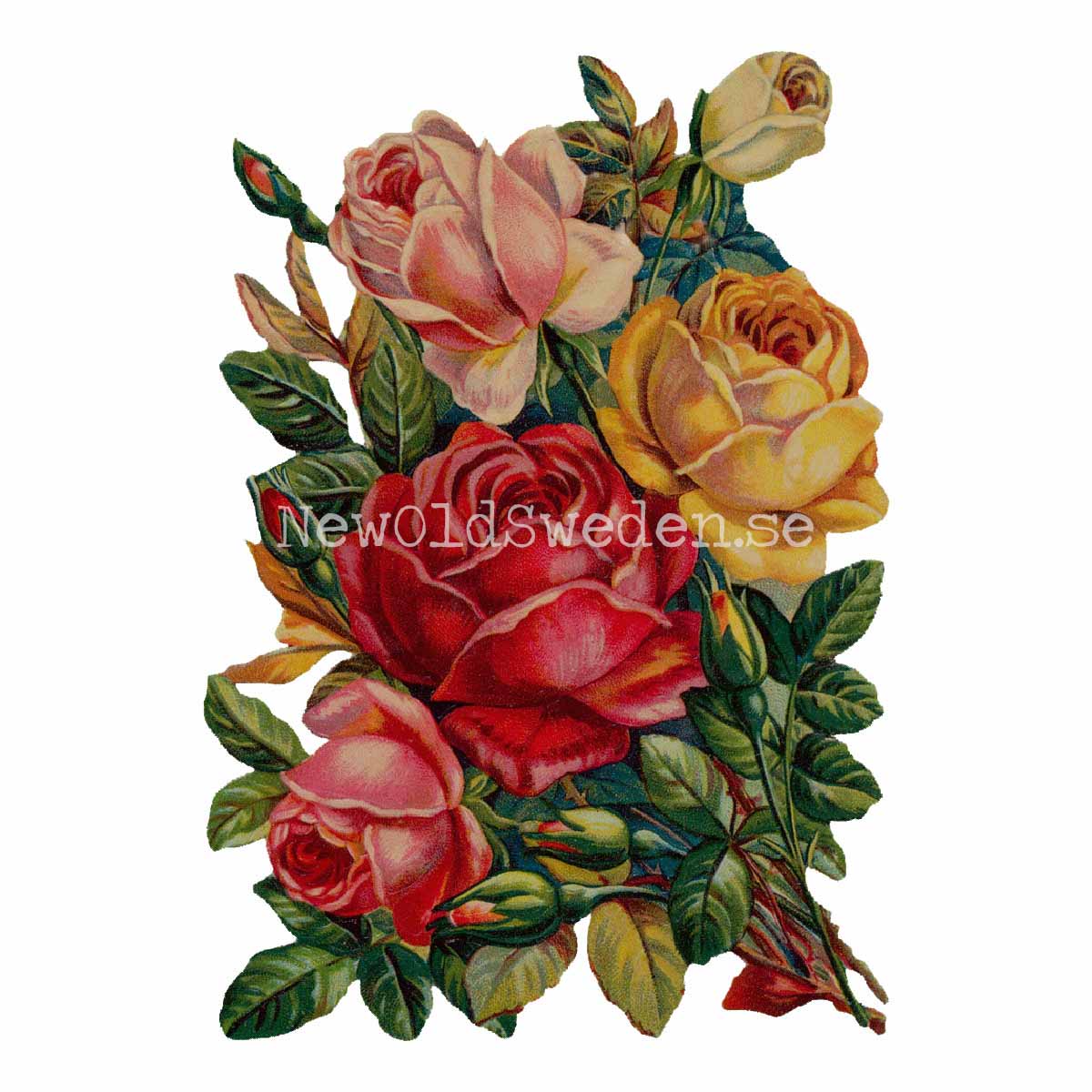 Dark Roses 10.5x16 cm - Bokmärke © Ernst Freihoff 5001 - 3
