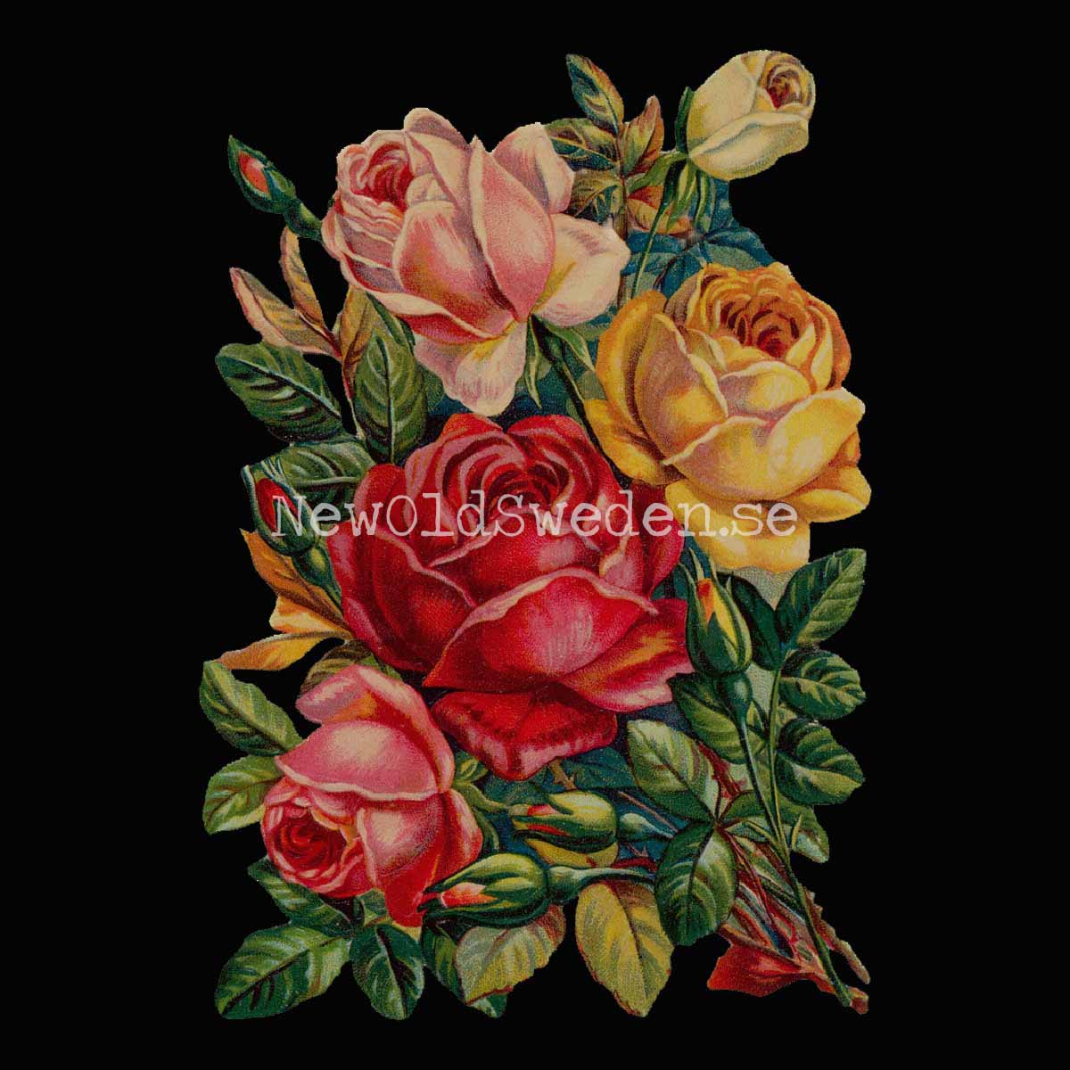 Dark Roses 10.5x16 cm - Bokmärke © Ernst Freihoff 5001