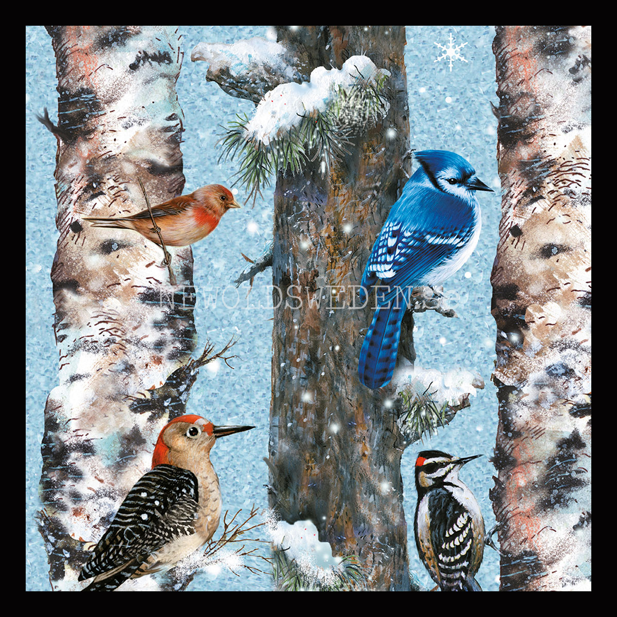 Christmas Birds 1000 Puzzel - 68 x 48 cm - Bob Giordano - PIATNIK - 3