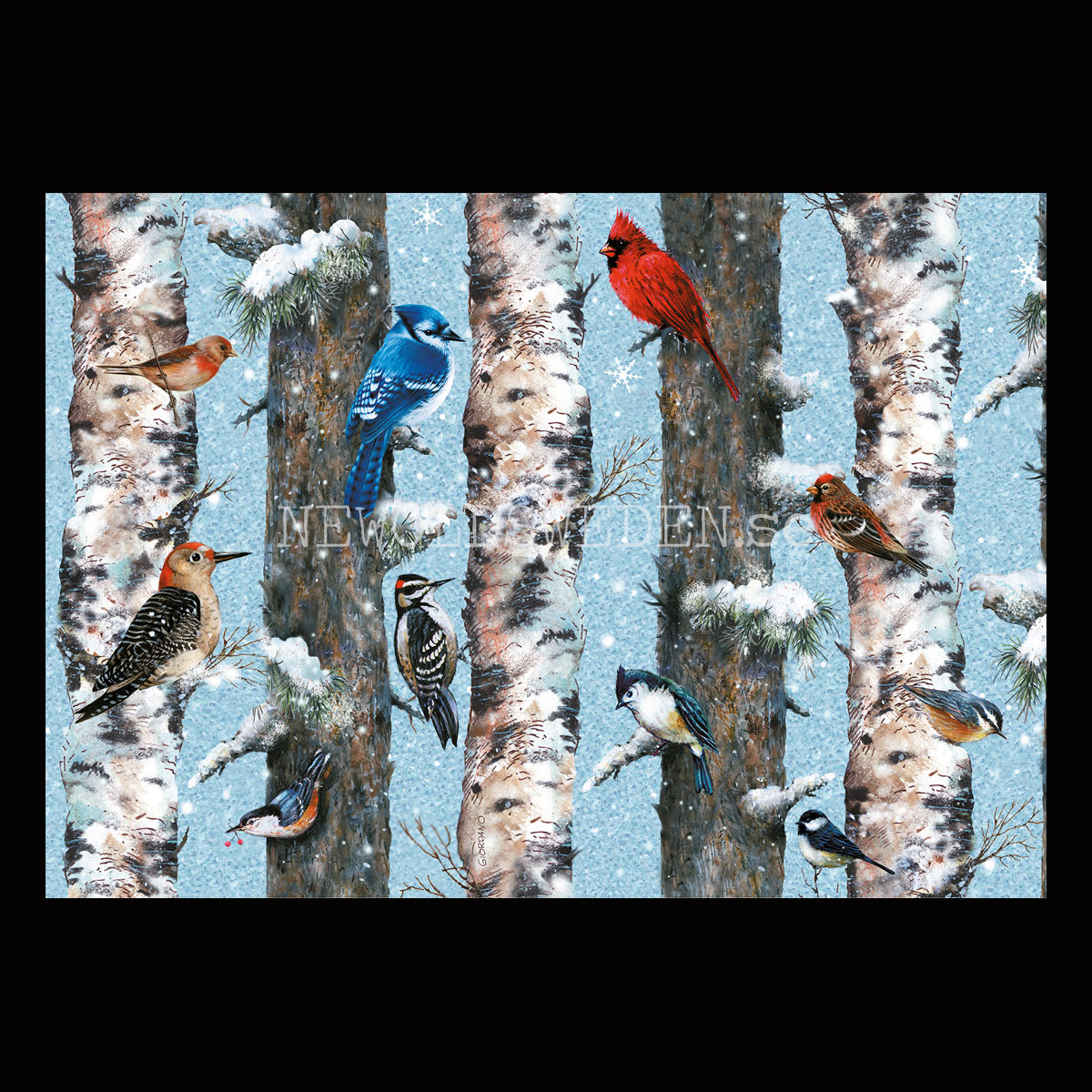 Christmas Birds 1000 Puzzel - 68 x 48 cm - Bob Giordano - PIATNIK - 2