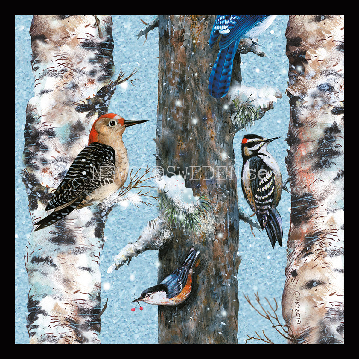 Christmas Birds 1000 Puzzel - 68 x 48 cm - Bob Giordano - PIATNIK - 5