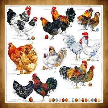 Servetter POULETS Påsk Servett 20-pack 33 x 33 cm