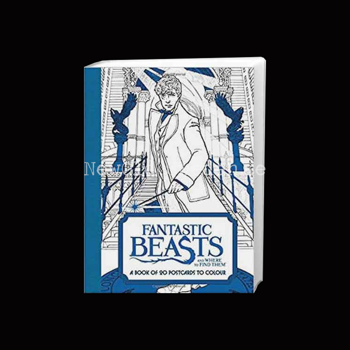 Fantastic Beasts and Where to Find Them - 2