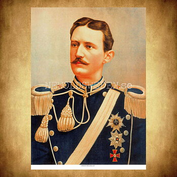 Prins Wilhelm 1884-1965 - Vykort A5