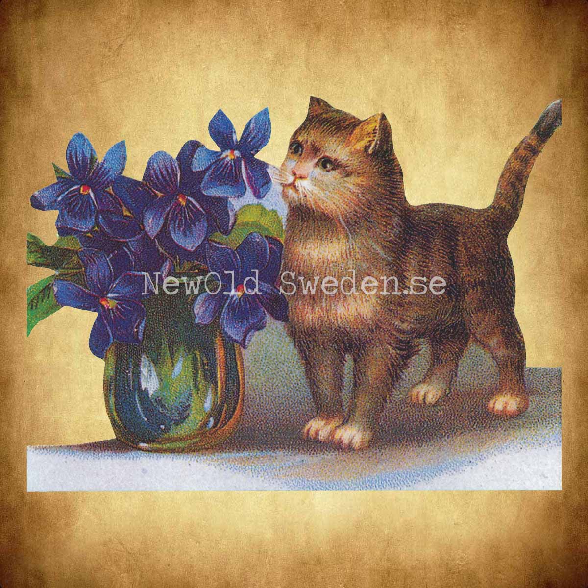 Pappersrader Katt - 65 x 9 cm - R07