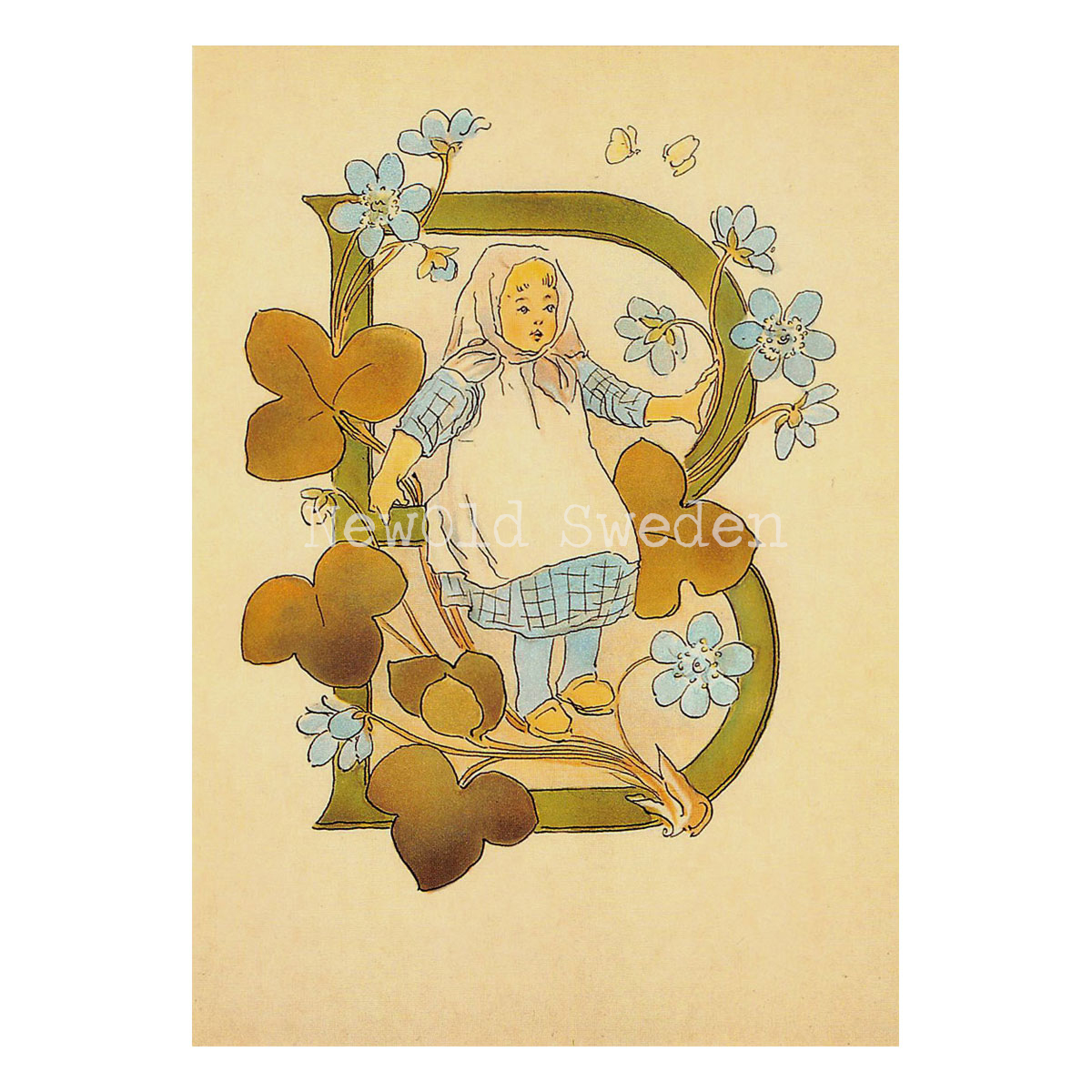 Blomsteralfabetet B - BLÅSIPPA Ottilia Adelborg - 725 - 3