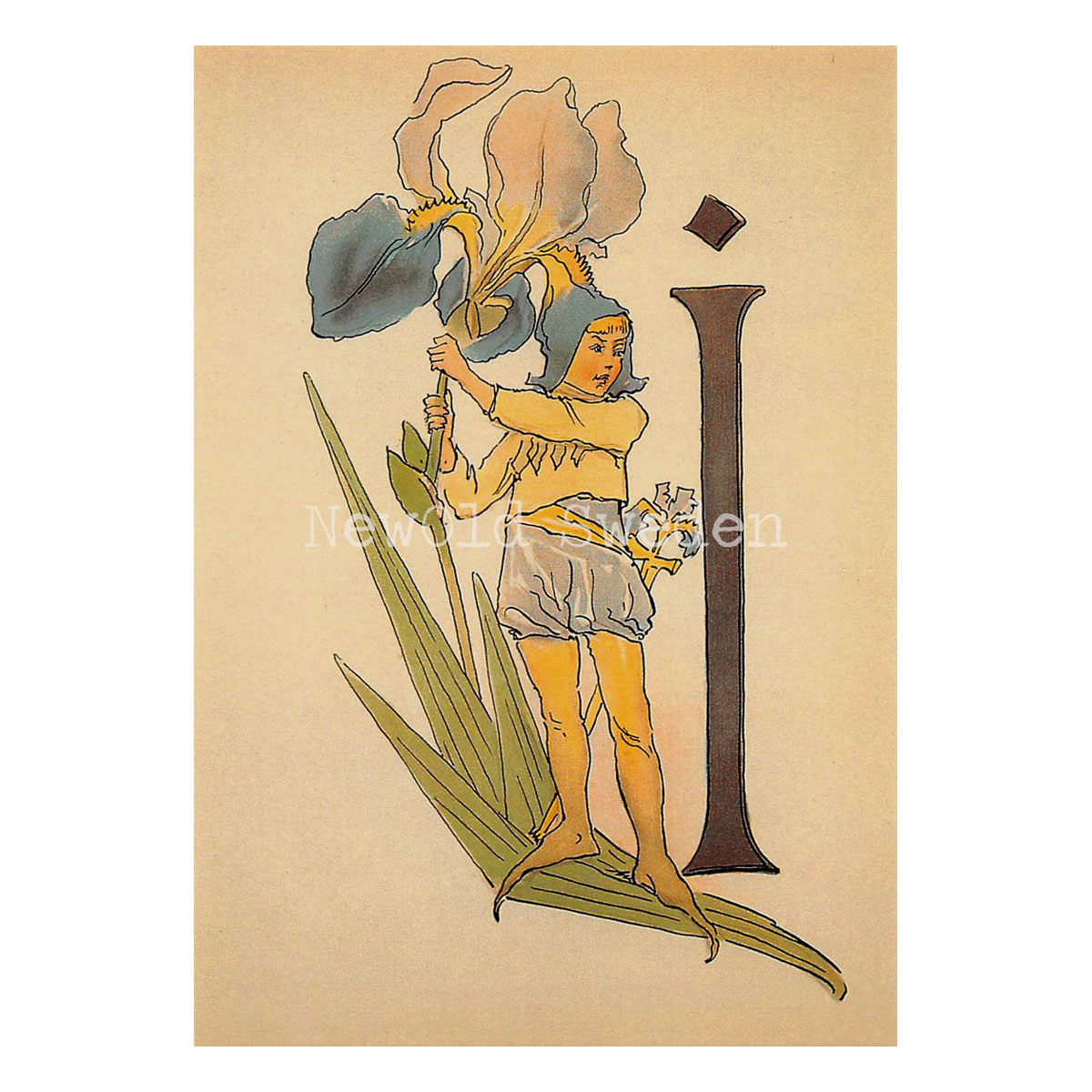 Blomsteralfabetet I - IRIS Ottilia Adelborg - 725 - 3