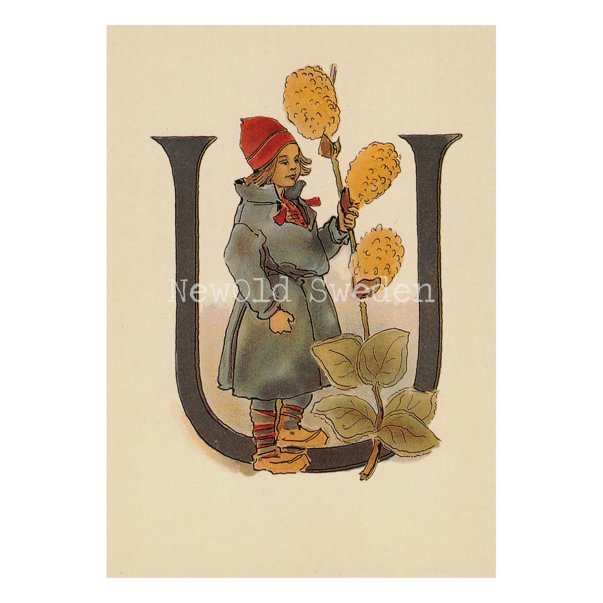 Blomsteralfabetet U - ULLVIDE Ottilia Adelborg - 725 - 3