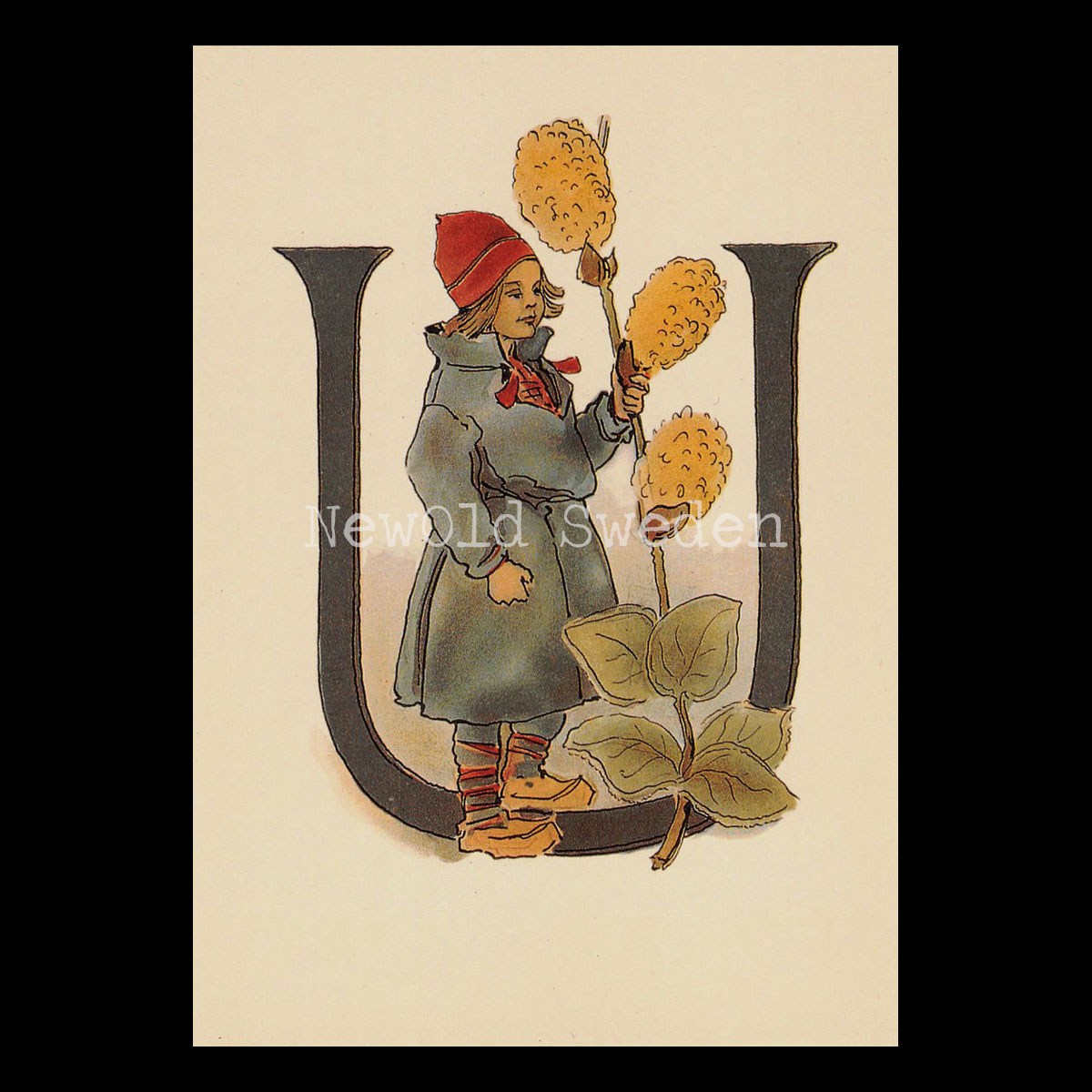 Blomsteralfabetet U - ULLVIDE Ottilia Adelborg - 725