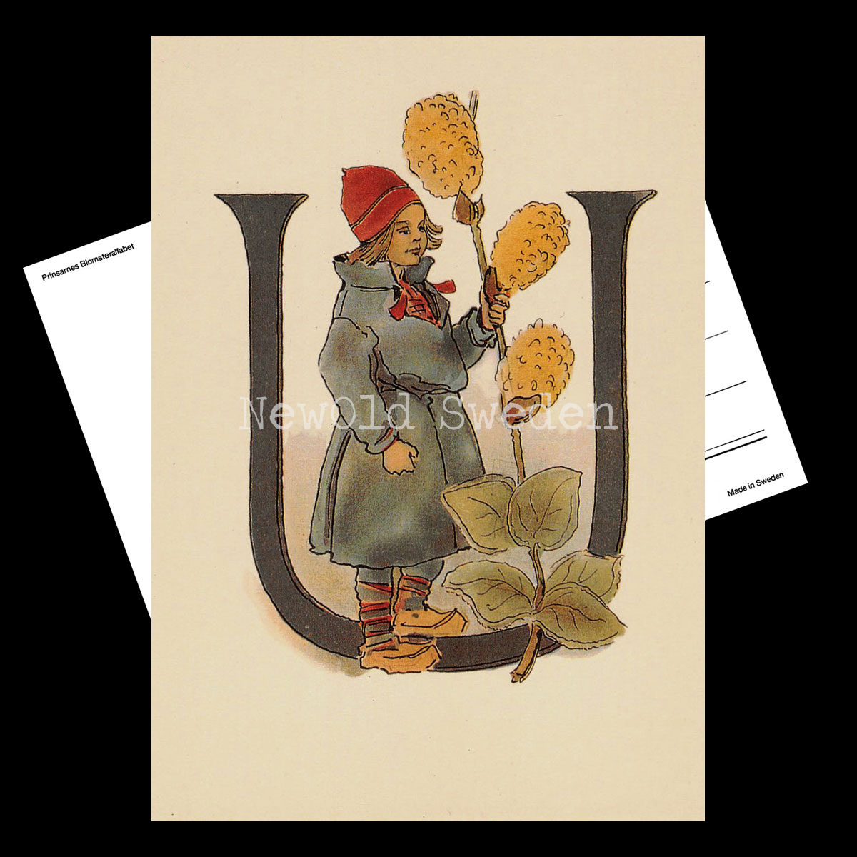Blomsteralfabetet U - ULLVIDE Ottilia Adelborg - 725 - 2