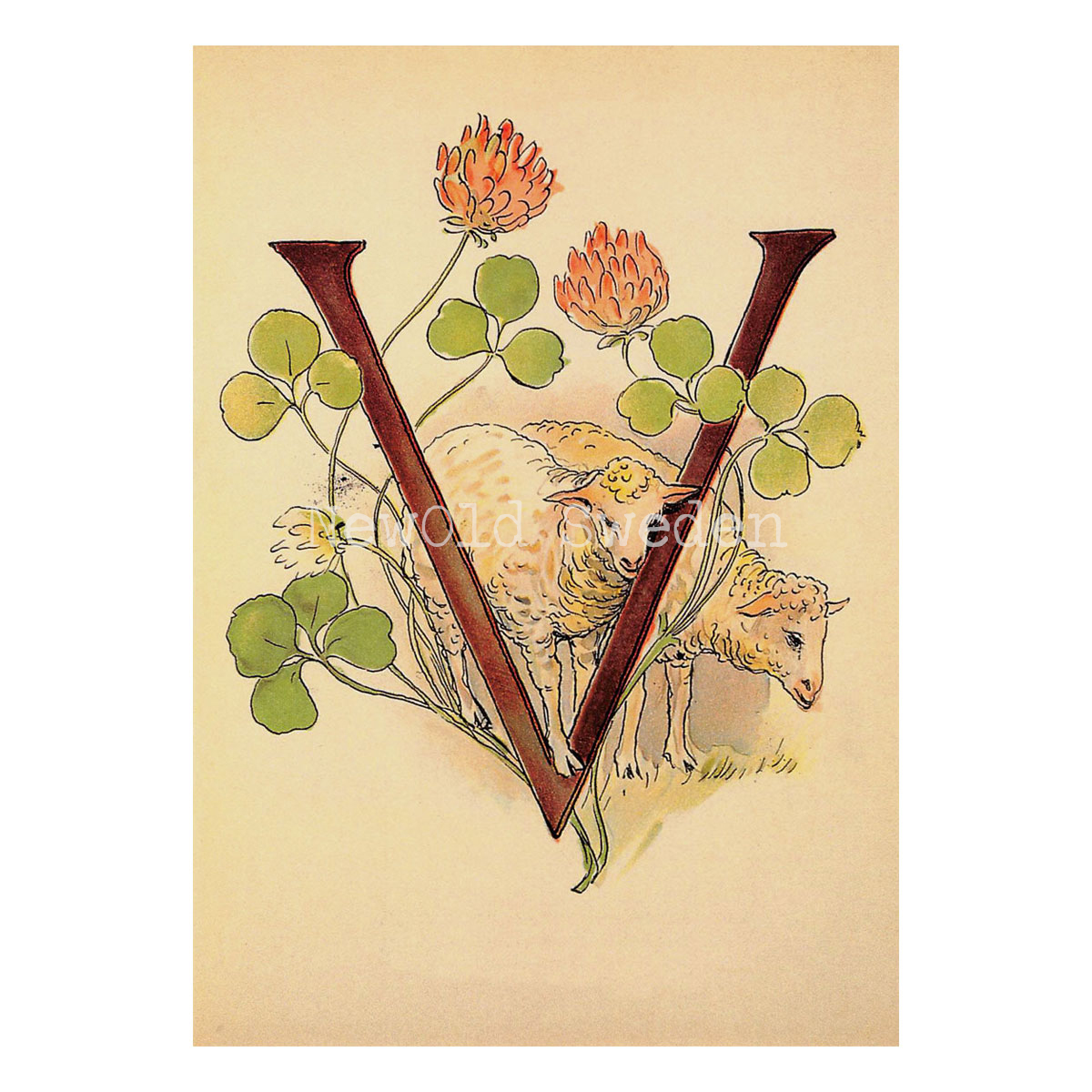 Blomsteralfabetet V - VÄPPLING Ottilia Adelborg - 725 - 3
