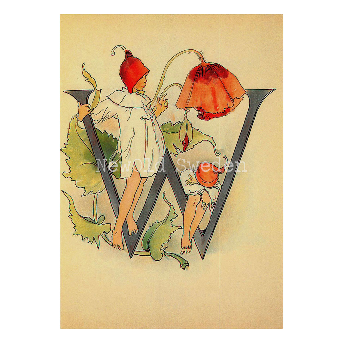 Blomsteralfabetet W - WALLMO Ottilia Adelborg - 725 - 3