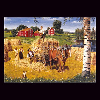 Höbärgning Vykort 502 Jan Bergerlind - 905