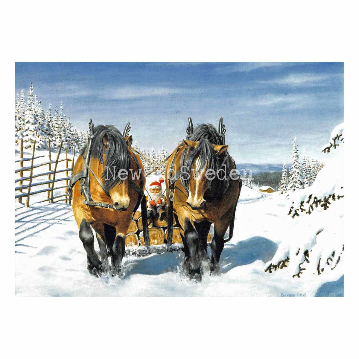 Timmerlasset Vykort 511 Jan Bergerlind - 905 - 2