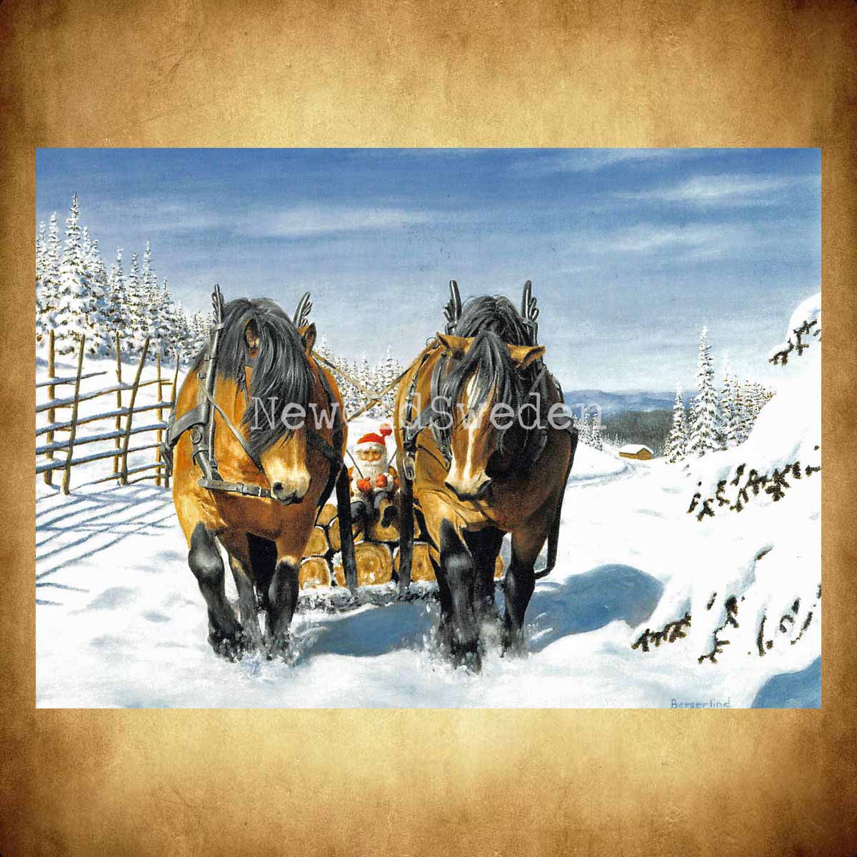 Timmerlasset Vykort 511 Jan Bergerlind - 905 - 3