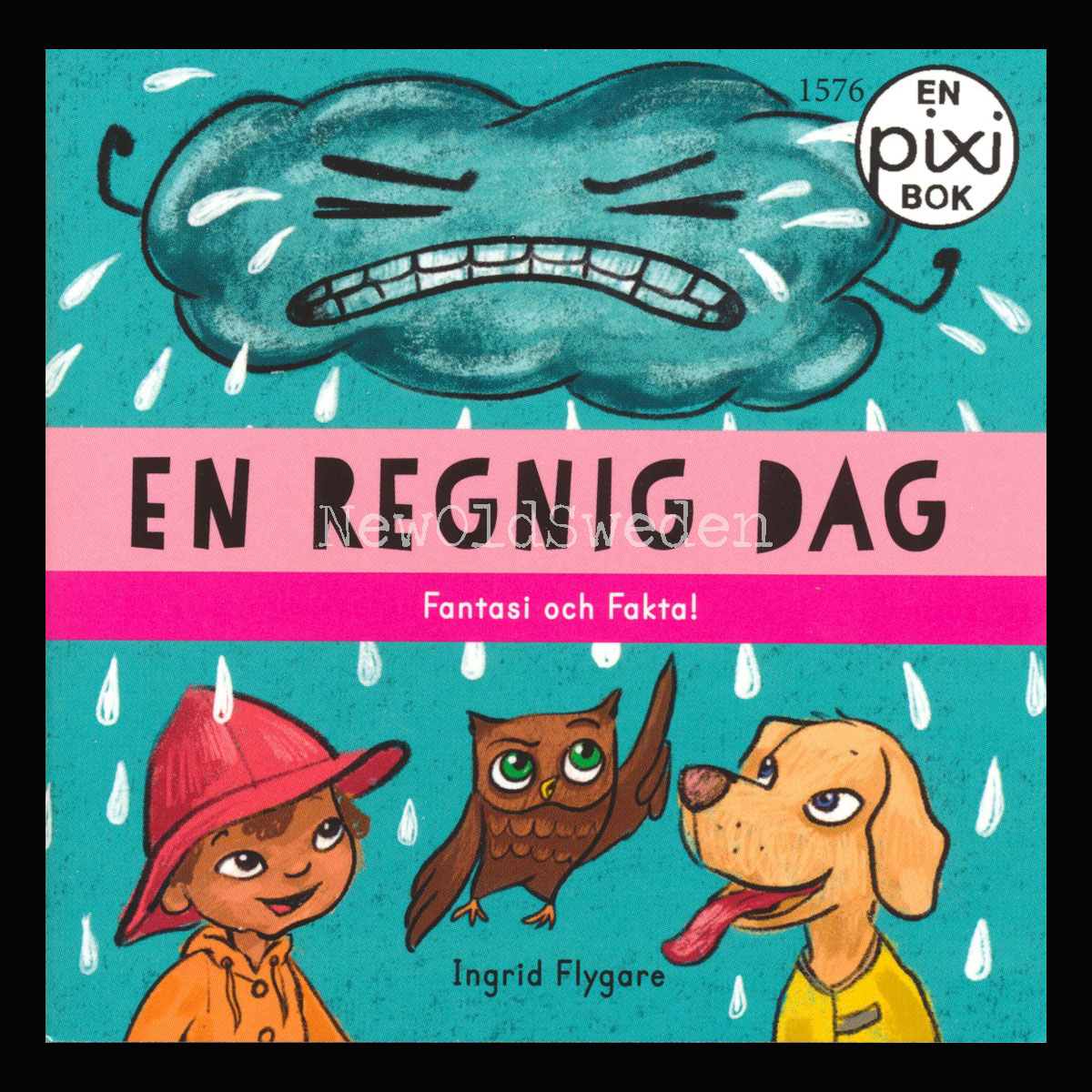 En regnig dag 1576 - P47