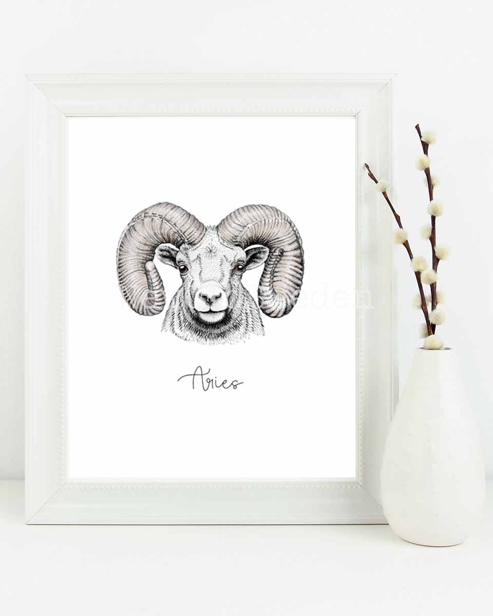 Väduren - Aries 21 mars - 19 april - 3