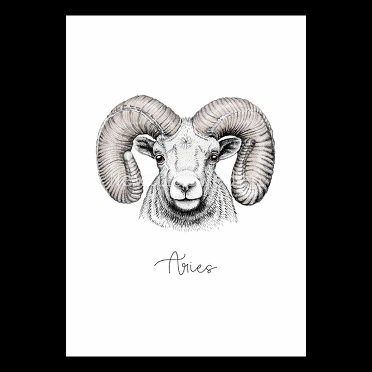 Väduren - Aries 21 mars - 19 april