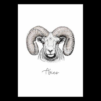 Väduren - Aries 21 mars - 19 april