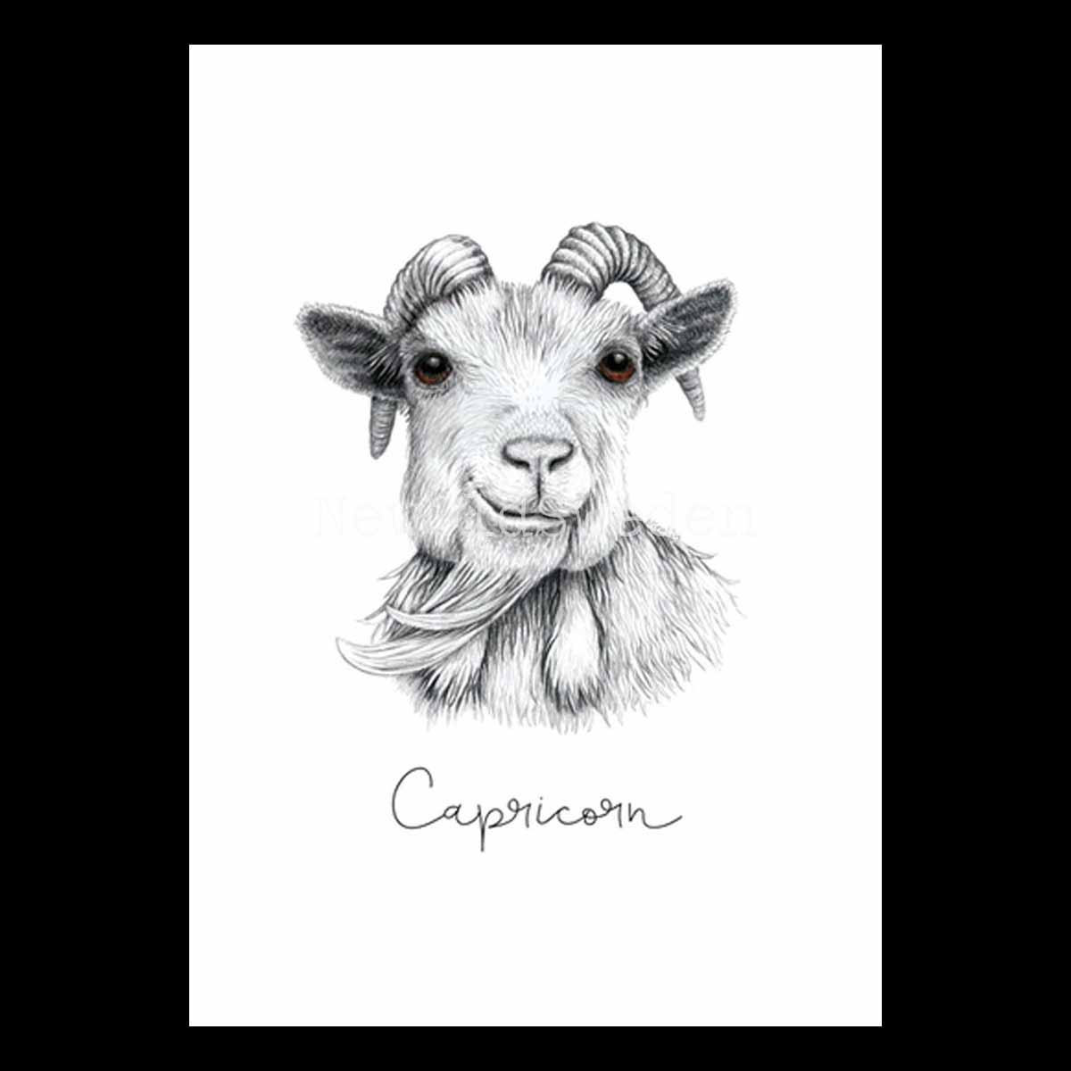 Stenbocken - Capricorn 22 december - 19 januari