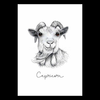 Stenbocken - Capricorn 22 december - 19 januari