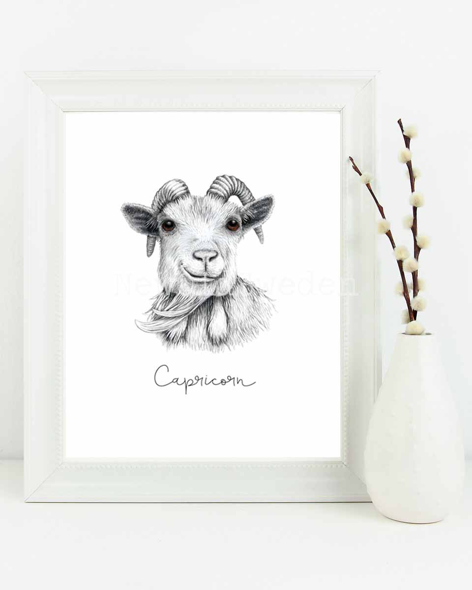 Stenbocken - Capricorn 22 december - 19 januari - 3