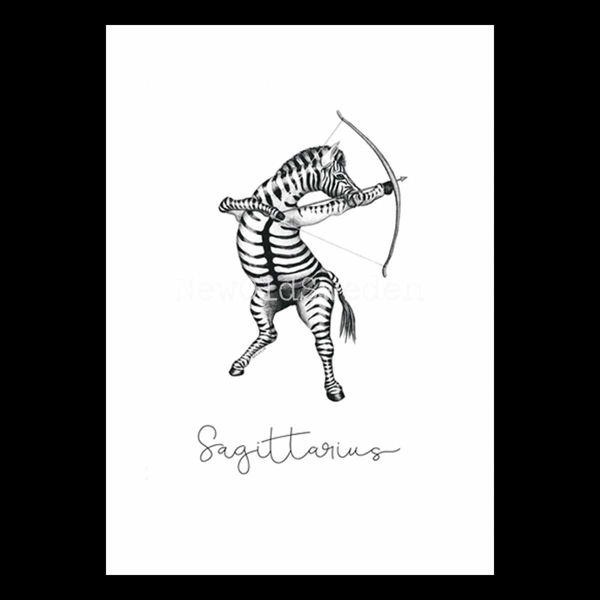 Skytten - Sagittarius 22 november - 21 december