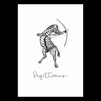Skytten - Sagittarius 22 november - 21 december