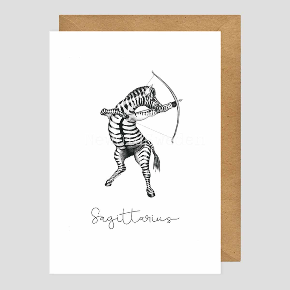 Skytten - Sagittarius 22 november - 21 december - 2