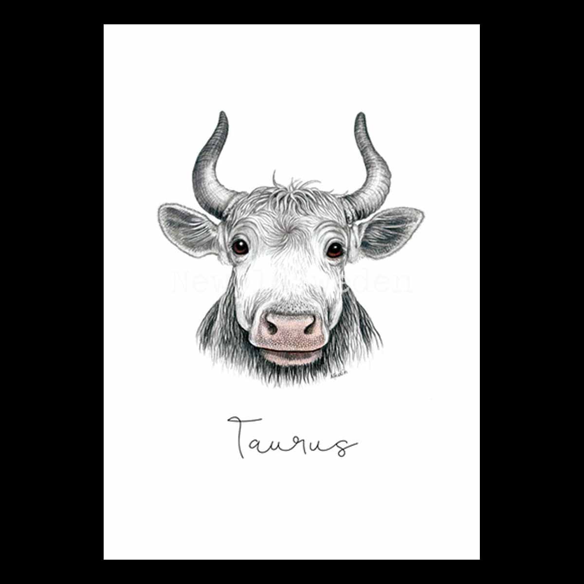 Oxen - Taurus 20 april - 20 maj