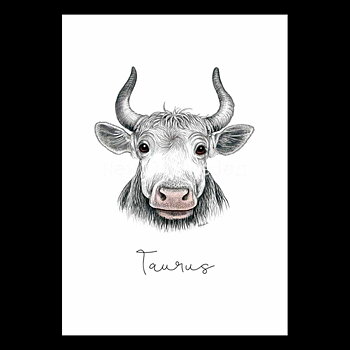 Oxen - Taurus 20 april - 20 maj