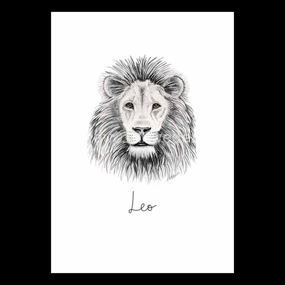 Lejonet - Leo 23 juli - 22 augusti