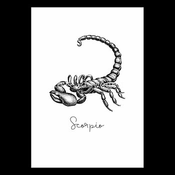 Skorpionen - Scorpio 23 oktober - 21 november